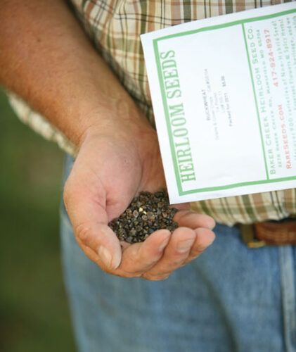 Heirloom Expert: Life of Seeds